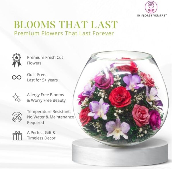 Premium Fresh Cut Preserved Flower Bouquet in a Sealed Glass Vase | Long Lasting Bouquet Orchids and Roses Stays Fresh for 5+ Years | No Water Needed | Unique Gift for Women - Image 6