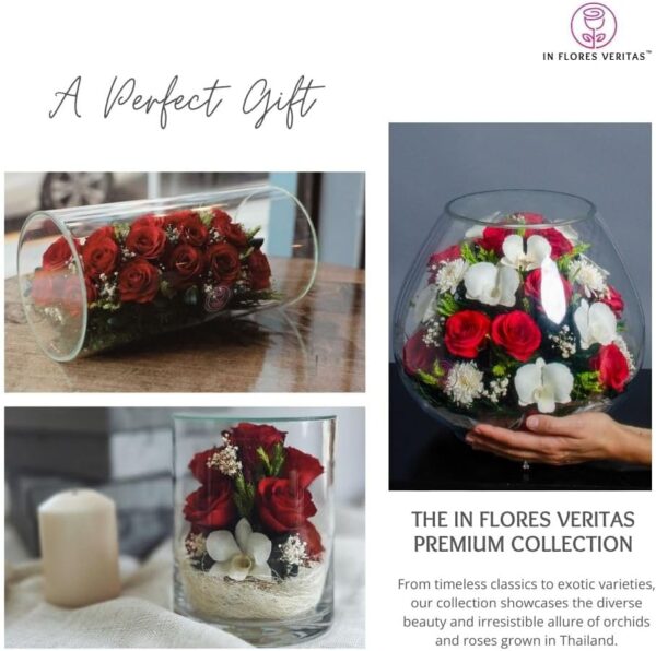 Premium Fresh Cut Preserved Flower Bouquet in a Sealed Glass Vase | Long Lasting Bouquet Orchids and Roses Stays Fresh for 5+ Years | No Water Needed | Unique Gift for Women - Image 3